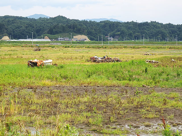 南相馬市・小高区エリア